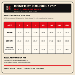Drop 2 Dead Heat Racing Comfort Colors 1717 racing-stripe SB size guide